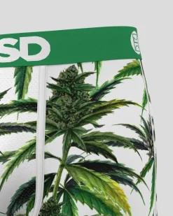 Buds & Bloom